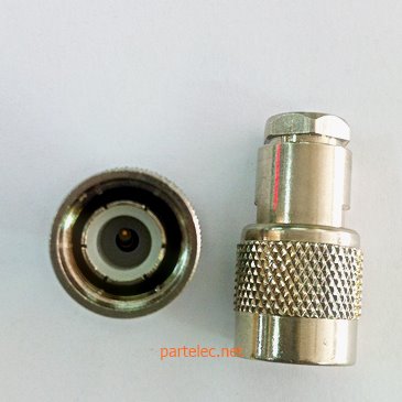 J.BNC ตัวเมีย #27