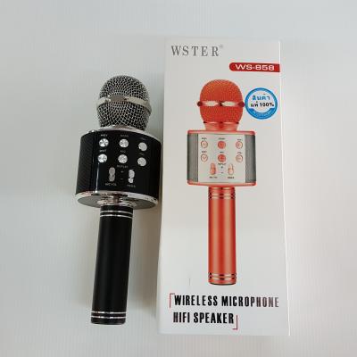 ไมค์คาราโอเกะ WS-858