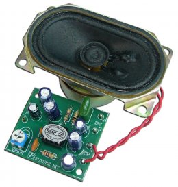 FK674 ขยายเสียง 2 W โมโน พร้อมลำโพง